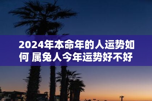 2025年本命年的人运势如何 属兔人今年运势好不好