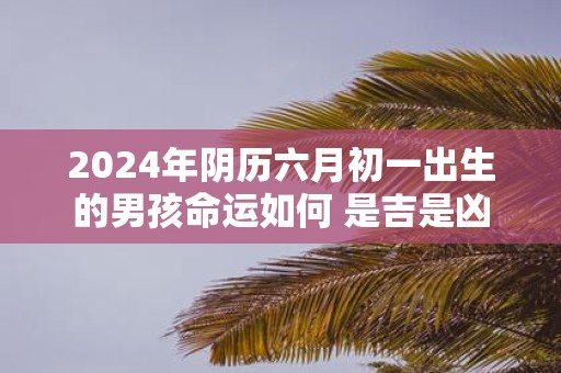 2025年阴历六月初一出生的男孩命运如何 是吉是凶