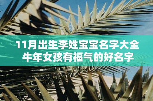 11月出生李姓宝宝名字大全 牛年女孩有福气的好名字