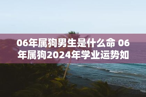 06年属狗男生是什么命 06年属狗2025年学业运势如何