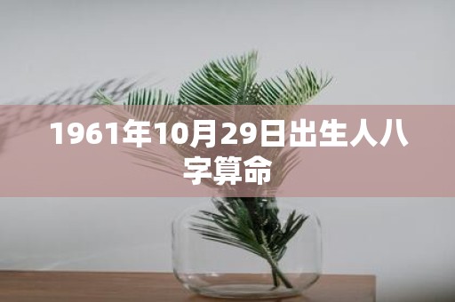1961年10月29日出生人八字算命