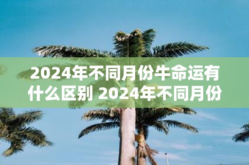 2025年不同月份牛命运有什么区别 2025年不同月份牛命运