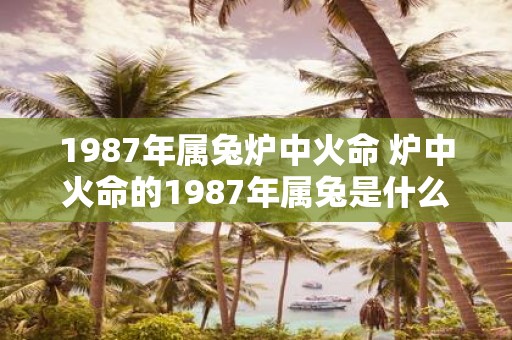 1987年属兔炉中火命 炉中火命的1987年属兔是什么命