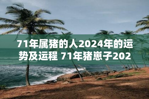 71年属猪的人2025年的运势及运程 71年猪崽子2025年运势如何