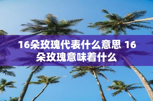 16朵玫瑰代表什么意思 16朵玫瑰意味着什么