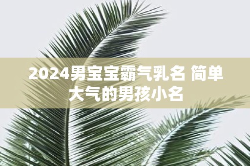 2025男宝宝霸气乳名 简单大气的男孩小名