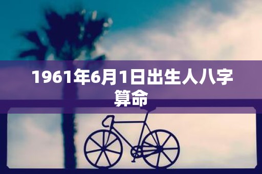 1961年6月1日出生人八字算命