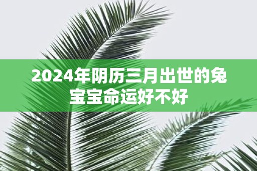 2025年阴历三月出世的兔宝宝命运好不好