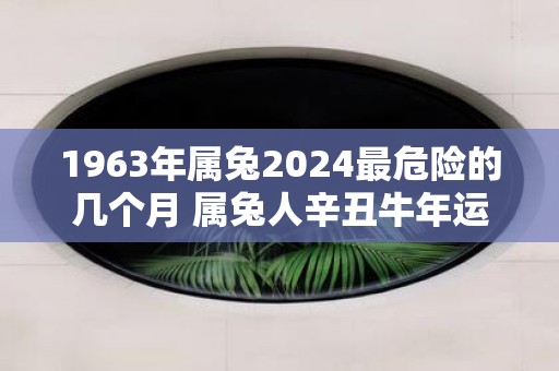 1963年属兔2025最危险的几个月 属兔人辛丑牛年运势