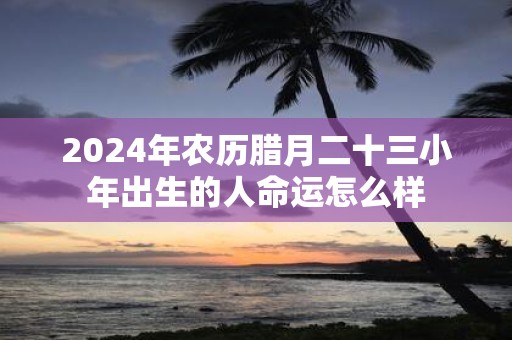 2025年农历腊月二十三小年出生的人命运怎么样