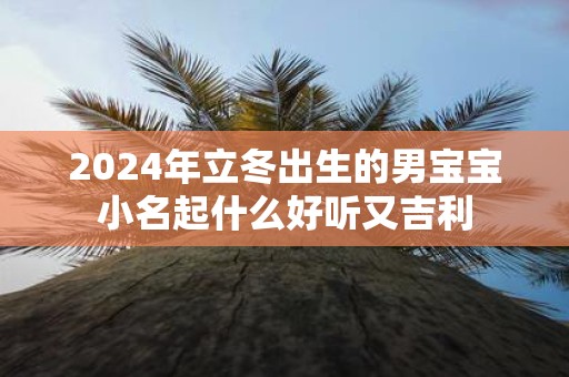 2025年立冬出生的男宝宝小名起什么好听又吉利