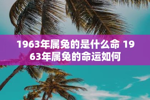 1963年属兔的是什么命 1963年属兔的命运如何