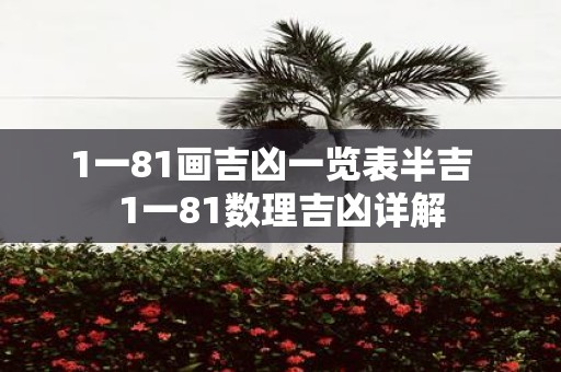 1一81画吉凶一览表半吉 1一81数理吉凶详解