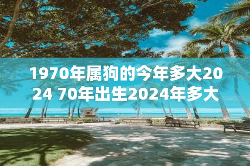 1970年属狗的今年多大2025 70年出生2025年多大年龄