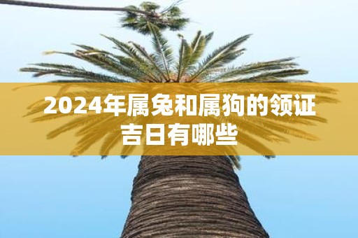 2025年属兔和属狗的领证吉日有哪些