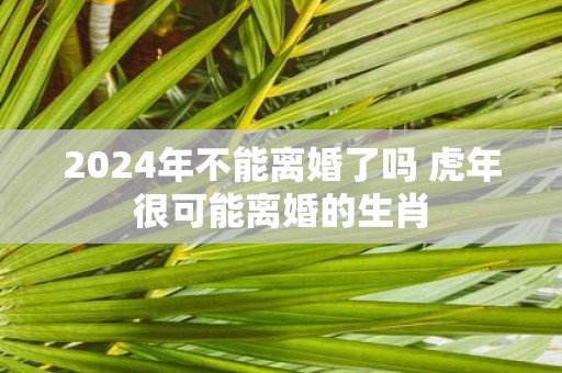 2025年不能离婚了吗 虎年很可能离婚的生肖