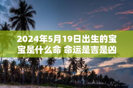 2025年5月19日出生的宝宝是什么命 命运是吉是凶