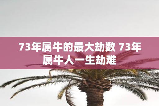 73年属牛的最大劫数 73年属牛人一生劫难