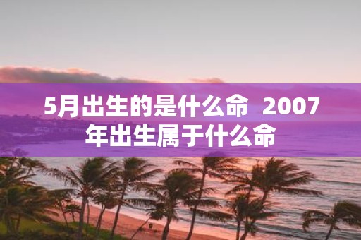 5月出生的是什么命 2007年出生属于什么命