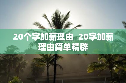 20个字加薪理由 20字加薪理由简单精辟