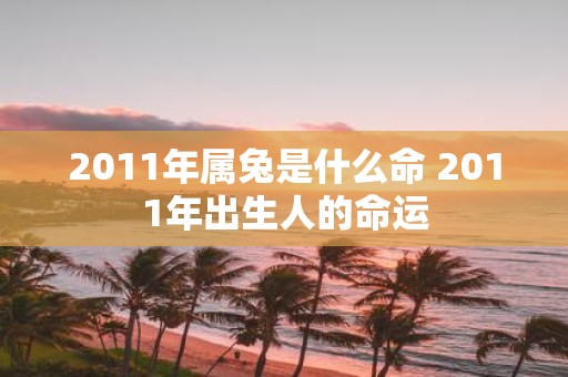 2011年属兔是什么命 2011年出生人的命运