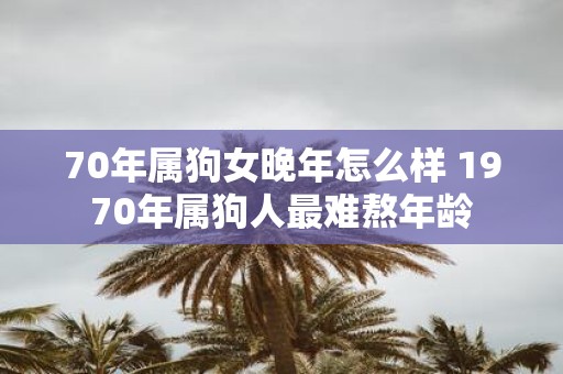 70年属狗女晚年怎么样 1970年属狗人最难熬年龄