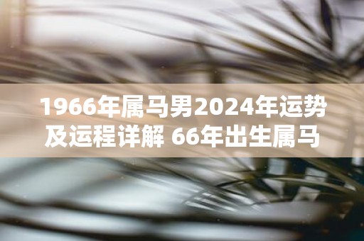 1966年属马男2025年运势及运程详解 66年出生属马人2025全年每月运势男性