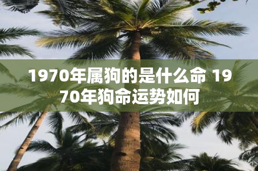 1970年属狗的是什么命 1970年狗命运势如何