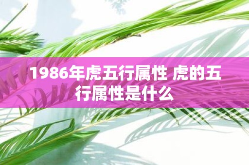 1986年虎五行属性 虎的五行属性是什么