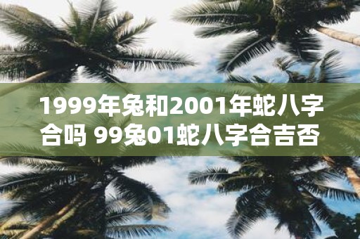 1999年兔和2001年蛇八字合吗 99兔01蛇八字合吉否