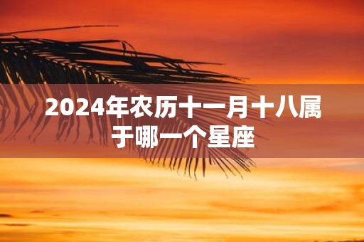 2025年农历十一月十八属于哪一个星座