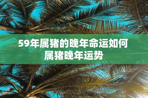 59年属猪的晚年命运如何 属猪晚年运势