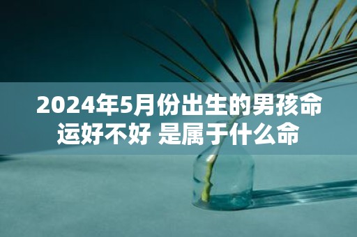2025年5月份出生的男孩命运好不好 是属于什么命