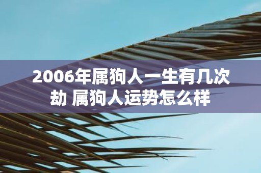 2006年属狗人一生有几次劫 属狗人运势怎么样
