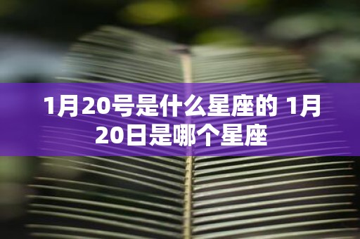 1月20号是什么星座的 1月20日是哪个星座