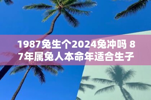 1987兔生个2025兔冲吗 87年属兔人本命年适合生子吗
