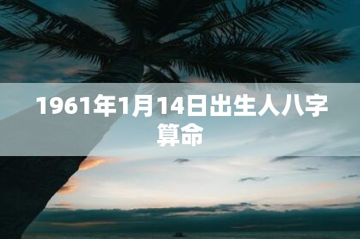 1961年1月14日出生人八字算命