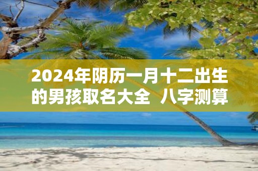 2025年阴历一月十二出生的男孩取名大全 八字测算