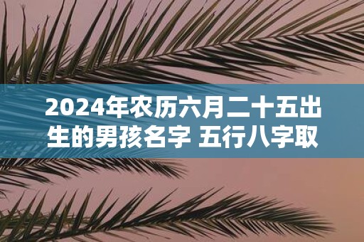 2025年农历六月二十五出生的男孩名字 五行八字取名