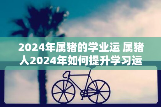 2025年属猪的学业运 属猪人2025年如何提升学习运