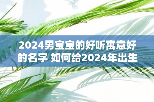 2025男宝宝的好听寓意好的名字 如何给2025年出生的男孩取个好听寓意好的名字