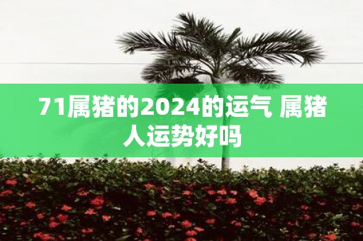 71属猪的2025的运气 属猪人运势好吗