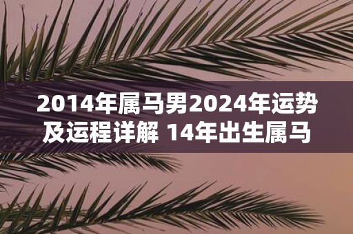 2014年属马男2025年运势及运程详解 14年出生属马人2025全年每月运势男性