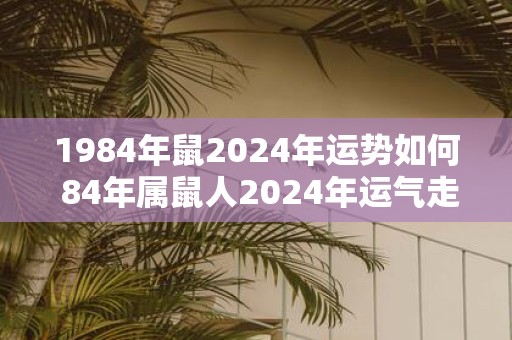 1984年鼠2025年运势如何 84年属鼠人2025年运气走向