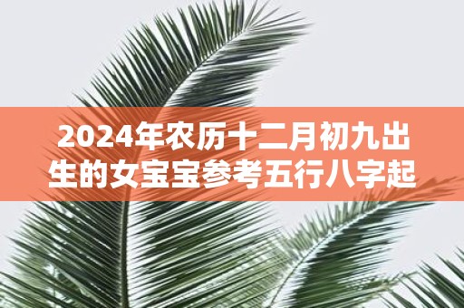 2025年农历十二月初九出生的女宝宝参考五行八字起名