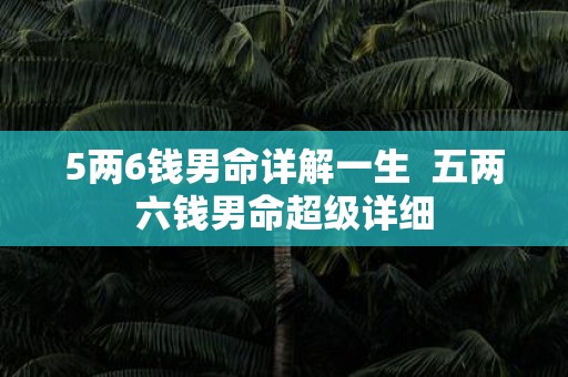 5两6钱男命详解一生 五两六钱男命超级详细