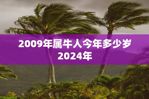 2009年属牛人今年多少岁2025年