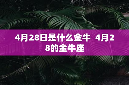 4月28日是什么金牛 4月28的金牛座