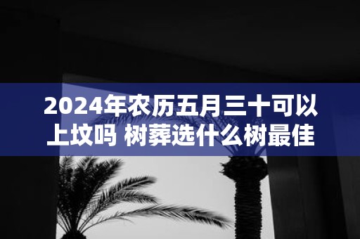 2025年农历五月三十可以上坟吗 树葬选什么树最佳