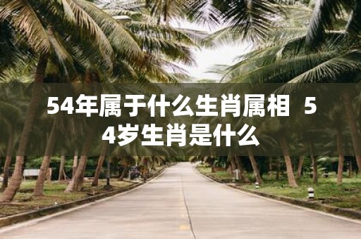 54年属于什么生肖属相 54岁生肖是什么